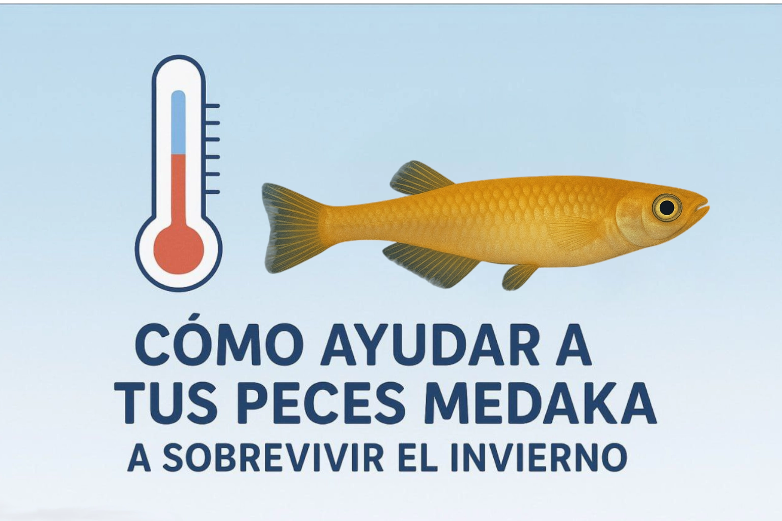 Pez Medaka en invierno nadando en agua fría con fondo azul, ilustración sobre control de temperatura y luz solar.
