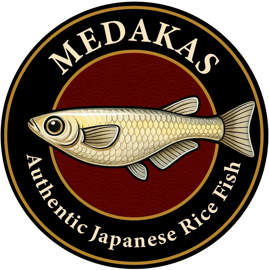 logo medakas