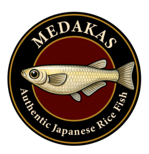 logo sin fondo de medakas